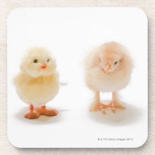 Babyhuhn und mechanisches Huhn des Fakes Getränkeuntersetzer