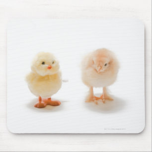 Babyhuhn und mechanisches Huhn des Fakes Mousepad