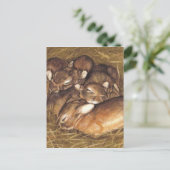 Babykaninchen-Kits in der Nestkunst Postkarte (Stehend Vorderseite)