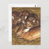 Babykaninchen-Kits in der Nestkunst Postkarte (Vorne/Hinten)