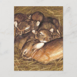 Babykaninchen-Kits in der Nestkunst Postkarte