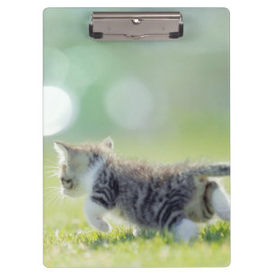 Babykatze, die auf Grasfeld läuft Klemmbrett