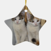 Babykatzen Keramikornament (Hinten)