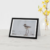 Babykilldeer-Raum-Gruß-Karte Karte (Gelbe Blume)
