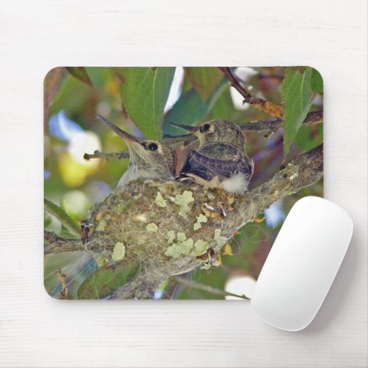 Babykolibris - Mousepad (Mit Mouse)