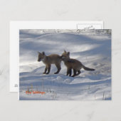 Babykopie, Fox Siblings Postkarte (Vorne/Hinten)