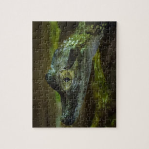 Babykrokodile Schwimmen im Wasser Puzzle