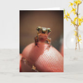 Babykröte/Tadpole Karte (Gelbe Blume)