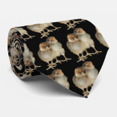 Babyküken araucana Huhn-Vogelkundevögel Krawatte (Gerollt)