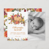 Babykürbis fallen Foto Postkarte (Vorne/Hinten)