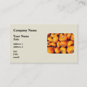 Babykürbisse Visitenkarte