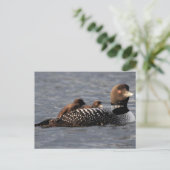 Babylöcher an Bord Postkarte (Stehend Vorderseite)