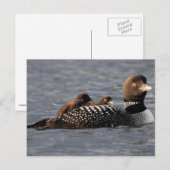 Babylöcher an Bord Postkarte (Vorne/Hinten)