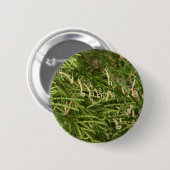 BabyMantis ~ Knopf Button (Vorne & Hinten)