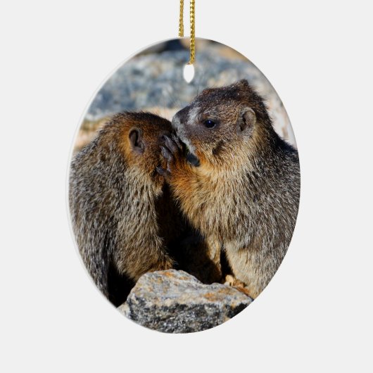 Babymurmeltiere Keramik Ornament (Rechts)