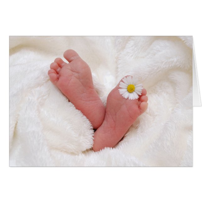 Babynahrung mit Daisy (Vorderseite (Horizontal))