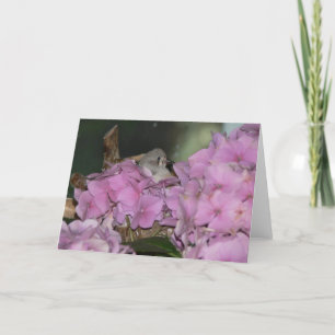 Babynahrung mit Hydrangias-Grußkarte Karte