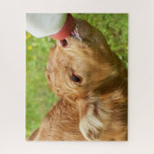 Babynahrung Puzzle (Vertikal)