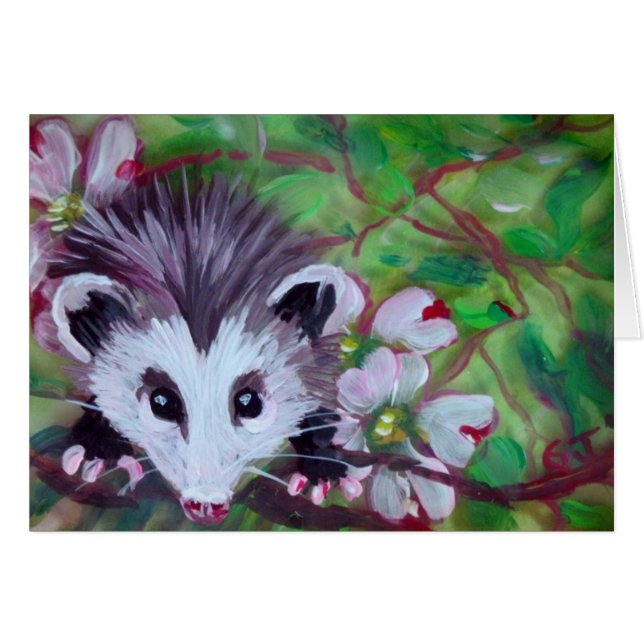 Babyopossum (Vorderseite (Horizontal))