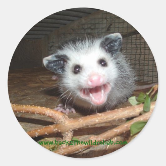 Babyopossum Runder Aufkleber (Vorderseite)