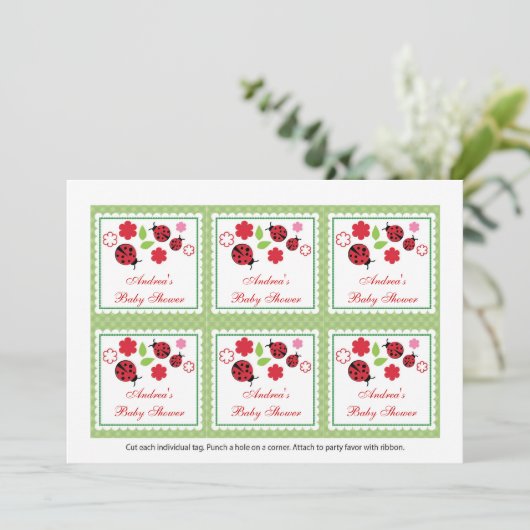 Babyparty-Bevorzugungs-Umbauten Damen-Bug Einladung (Stehend Vorderseite)