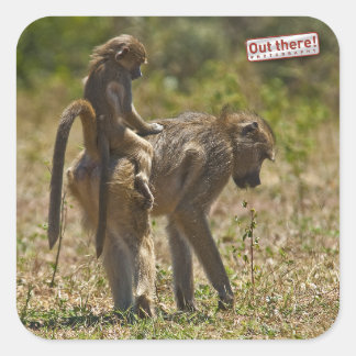 Babypflege Quadratischer Aufkleber