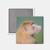 Babyportrait Magnet (Vorderseite/Rückseite)