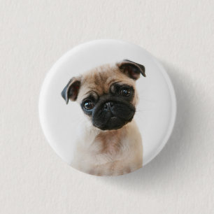 Babyportrait Mops Button