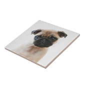 Babyportrait Mops Fliese (Seite)