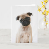 Babyportrait Mops Karte (Gelbe Blume)