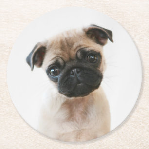 Babyportrait Mops Runder Pappuntersetzer