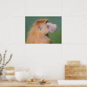 Babyportrait Poster (Küche)