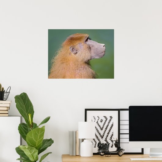 Babyportrait Poster (Heimbüro)