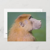 Babyportrait Postkarte (Vorne/Hinten)