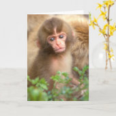 Babyportrait "Schneeaffe" Karte (Gelbe Blume)
