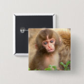 Babyportrait "Snow Monkey" Button (Vorne & Hinten)
