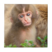 Babyportrait "Snow Monkey" Fliese (Vorderseite)