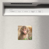 Babyportrait "Snow Monkey" Magnet (In Situ (Geschirrspüler))