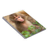 Babyportrait "Snow Monkey" Notizblock (Rechte Seite)