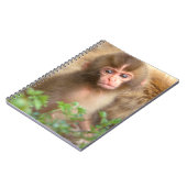 Babyportrait "Snow Monkey" Notizblock (Linke Seite)