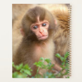 Babyportrait "Snow Monkey" Planer (Rückseite)