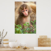 Babyportrait "Snow Monkey" Poster (Küche)