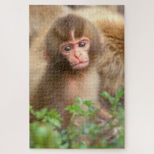 Babyportrait "Snow Monkey" Puzzle