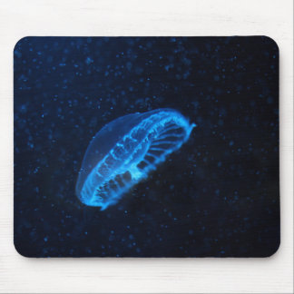 BabyQuallen Mousepad