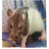 Babyratte Duschvorhang (Vorderseite)