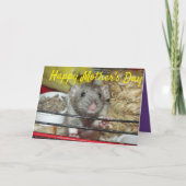 Babyratte Muttertagskarte Karte (Vorderseite)