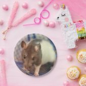 Babyratte Pappteller (Party)