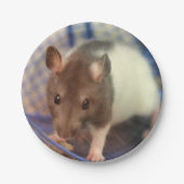 Babyratte Pappteller (Vorderseite)