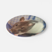 Babyratte Pappteller (Schrägansicht)