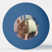 Babyratte Tischtennisball (Rückseite)